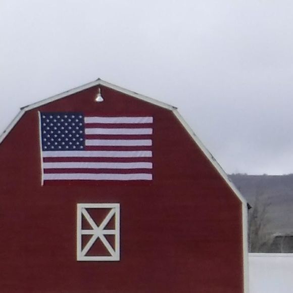 Meet your Posher, Vickie - Picture 1 of 1